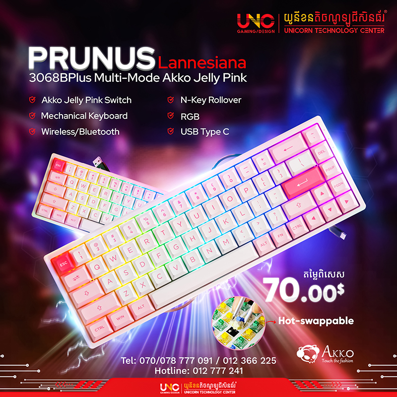 Prunus Lannesiana 3068B Plus Multi-Mode Akko Jelly Pink ( Wireless/Bluetooth/USB Type C / RGB​ / Akko Jelly Pink Switch / Hot-swappable / N-Key Rollover / Mechanical Keyboard )